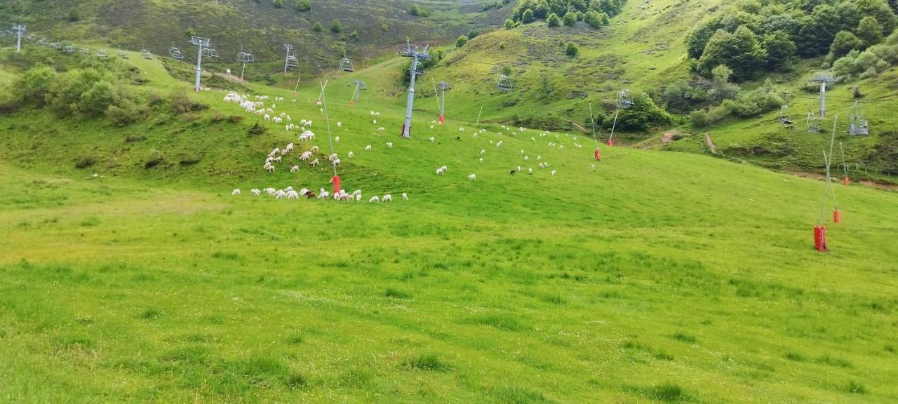 Pleine Nature Pied Pistes Piscine Chauffee Ustou Dış mekan fotoğraf